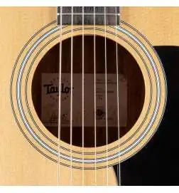 Taylor 117e
