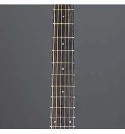 Taylor 117e