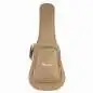 Taylor 117e