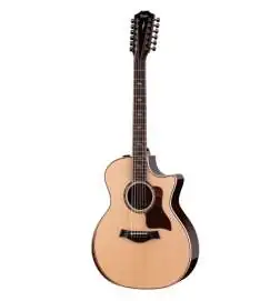 Taylor 854ce 12-String