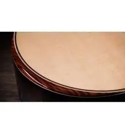 Taylor 854ce 12-String