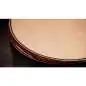 Taylor 854ce 12-String