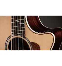 Taylor 854ce 12-String