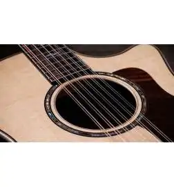 Taylor 854ce 12-String