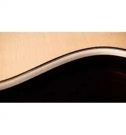 Taylor 854ce 12-String
