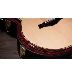 Taylor 854ce 12-String