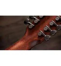 Taylor 854ce 12-String