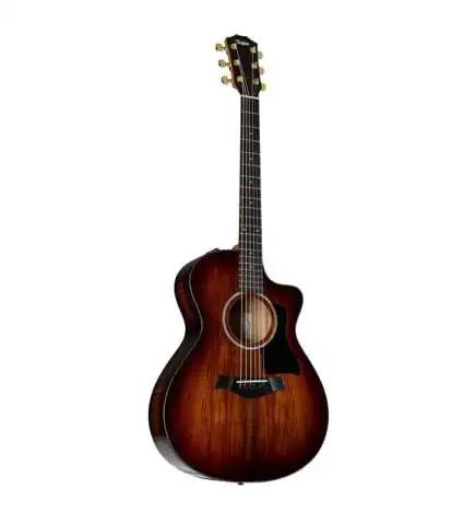 Taylor 222ce-K DLX