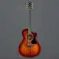 Taylor 222ce-K DLX Taylor 222ce-K DLX