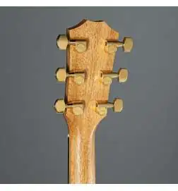 Taylor 222ce-K DLX