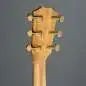 Taylor 222ce-K DLX Taylor 222ce-K DLX