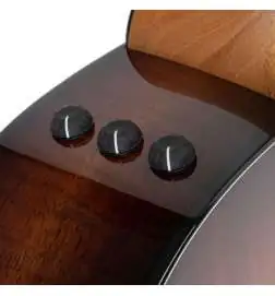 Taylor 222ce-K DLX