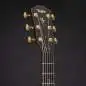Taylor Builder's Edition K24ce