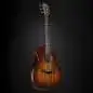 Taylor Builder's Edition K24ce