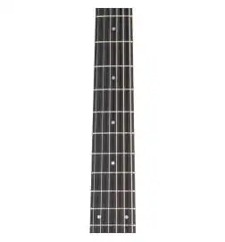 Taylor 214ce-W Lefthand