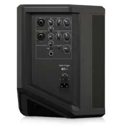 Behringer B1C