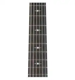 Taylor 362ce