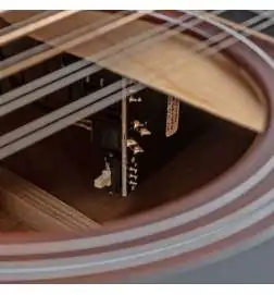 Taylor 362ce