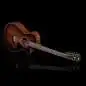 Taylor 362ce