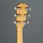 Taylor 210ce Plus
