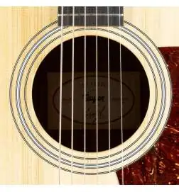 Taylor 210ce Plus