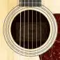 Taylor 210ce Plus