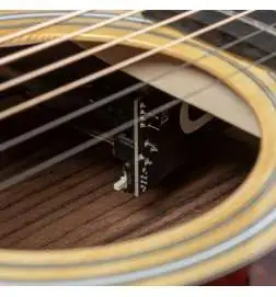 Taylor 210ce Plus