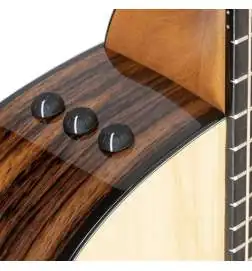 Taylor 210ce Plus