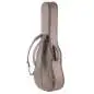 Taylor 210ce Plus