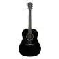 Taylor 217e-BLK Plus