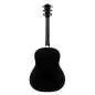 Taylor 217e-BLK Plus