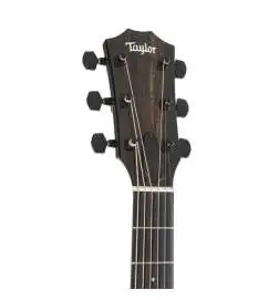 Taylor 217e-BLK Plus