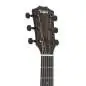 Taylor 217e-BLK Plus