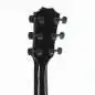 Taylor 217e-BLK Plus