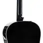 Taylor 217e-BLK Plus