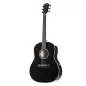 Taylor 217e-BLK Plus