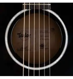 Taylor 217e-BLK Plus