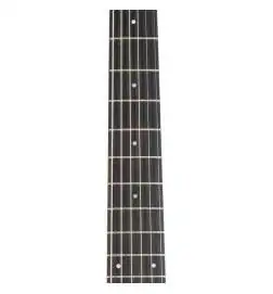 Taylor 217e-BLK Plus