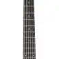 Taylor 217e-BLK Plus