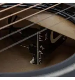 Taylor 217e-BLK Plus