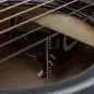 Taylor 217e-BLK Plus