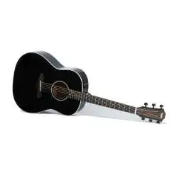 Taylor 217e-BLK Plus