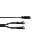 Cordial EY 0.3 YCC Cable Y 0,3 m