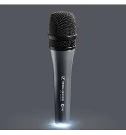 Sennheiser e 845 Evolution