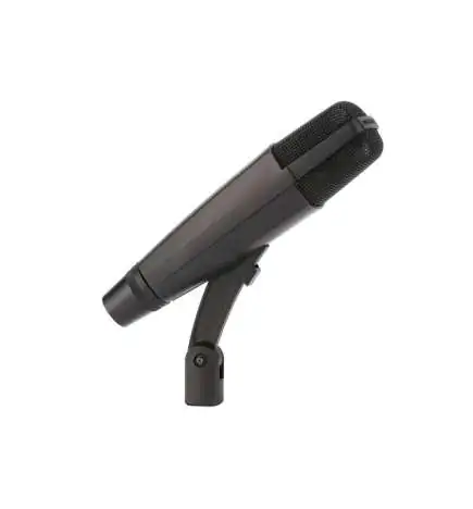 Sennheiser MD 421-II Micro dynamique