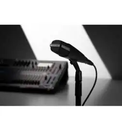 Sennheiser MD 421-II Micrófono dinámicamente