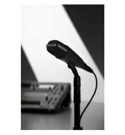 Sennheiser MD 421-II Micro dynamique