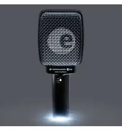 Sennheiser E906 Evolution Dynamic Microphone