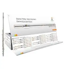 Jupiter JFL700EC CBox Flute