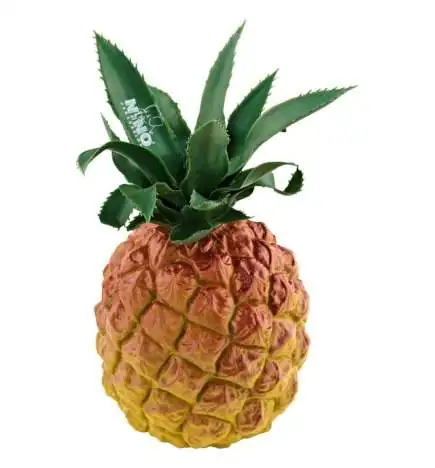 Meinl NINO595 Botany Fruit Shaker Ananas